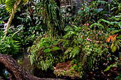 Chiang Mai - Bhubing Palace. The Greenhouse